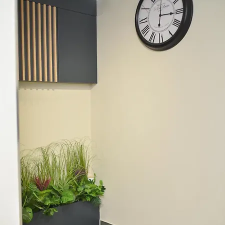 Apartment Silver View