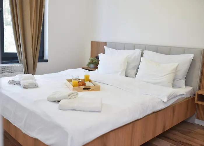 Silver View 즐라티보